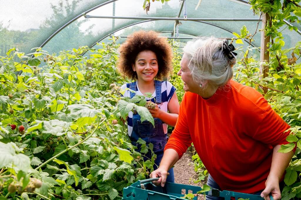 seniors-voluteering.