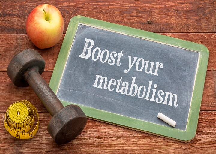 metabolism