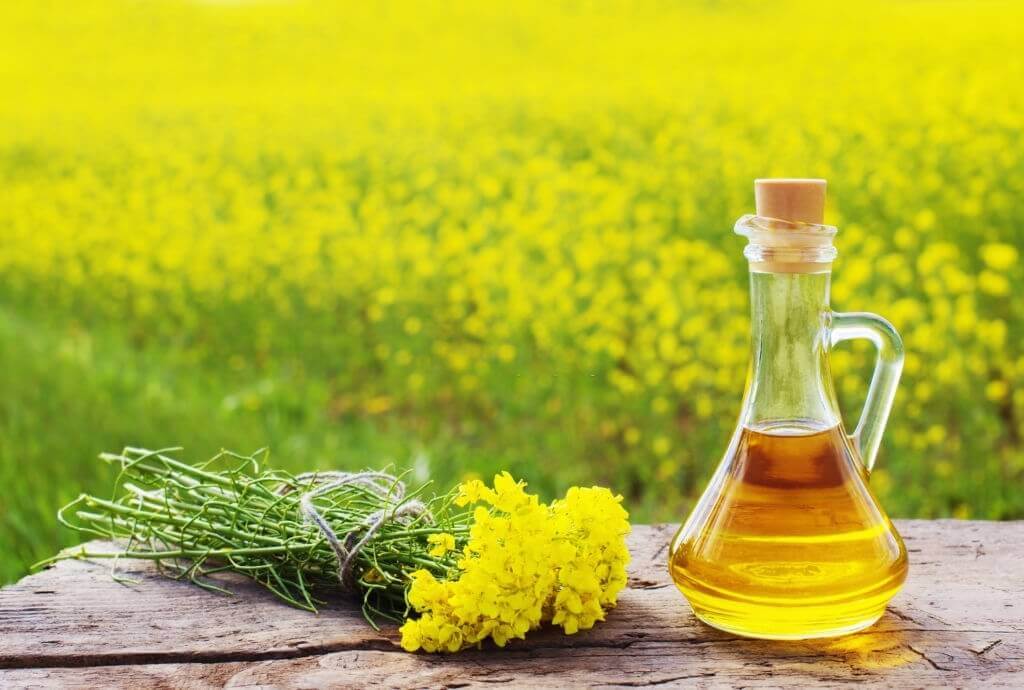 Unveiling The Next Big Thing On Mustard Oil Benefits For Elders