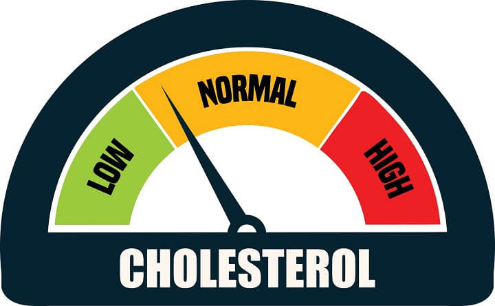cholesterol-in-elder