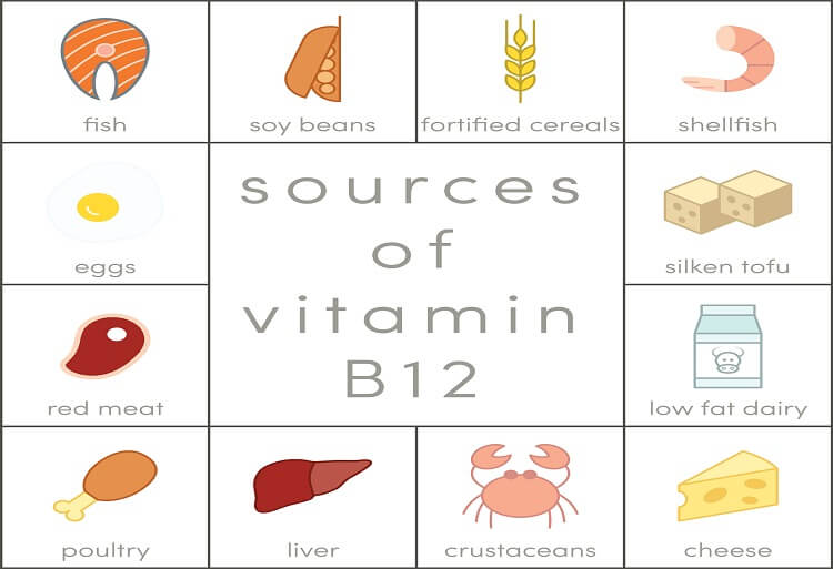 Sources of the vitamins for seniors