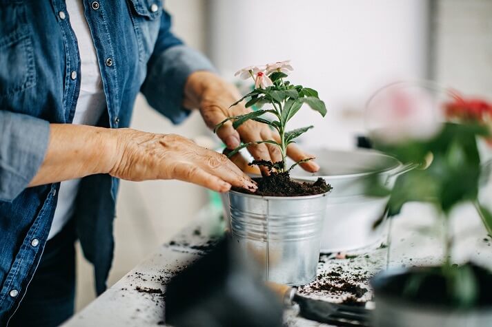 home-gardening-for-the-elderly
