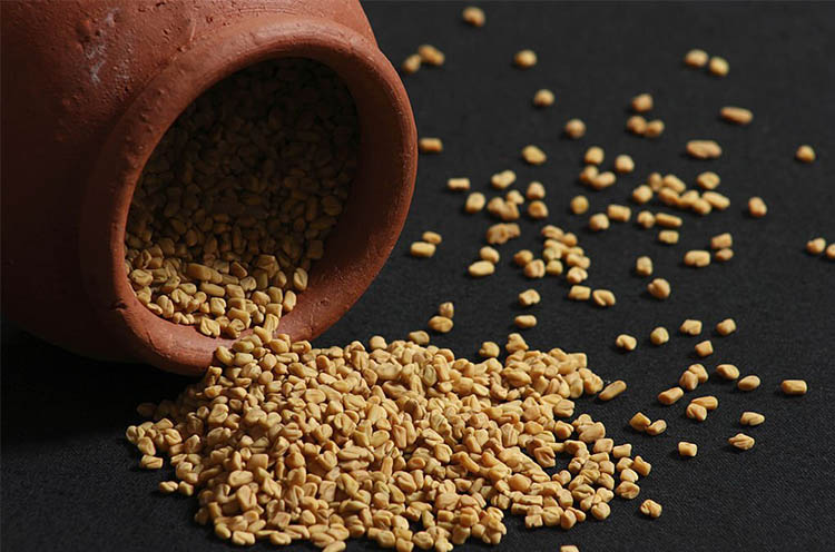 Fenugreek-Seeds