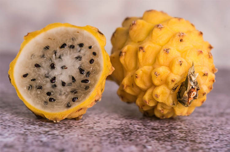 Origin-of-yellow-dragon-fruit