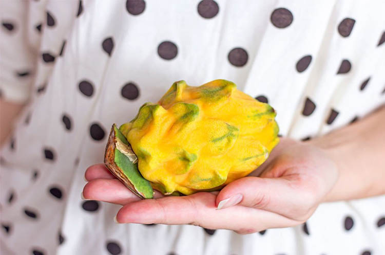 Benefits-of-yellow-dragon-for-seniors