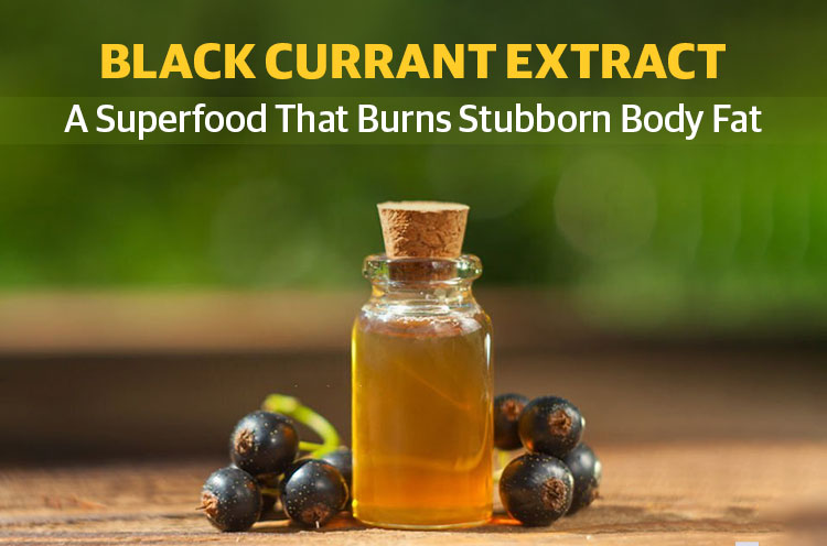 How-to-burn-fat-with-the-help-of-balckcurrant