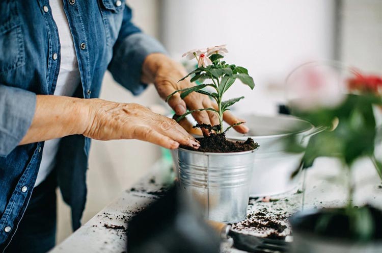 Gardening For Fun