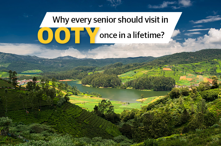 Witness the Best Places to Visit in Ooty - Emoha