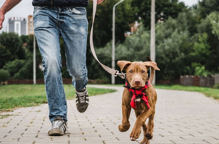 Indulge in more activities you enjoy