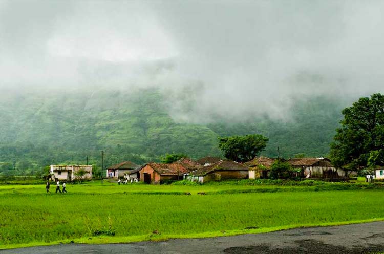 Amboli