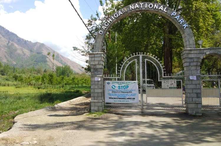 Dachigam National Park