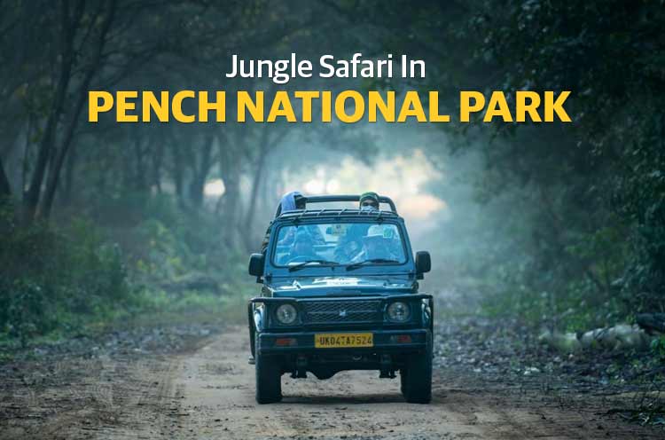 Pench National Park
