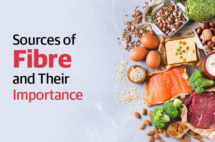 Sources of Fibre