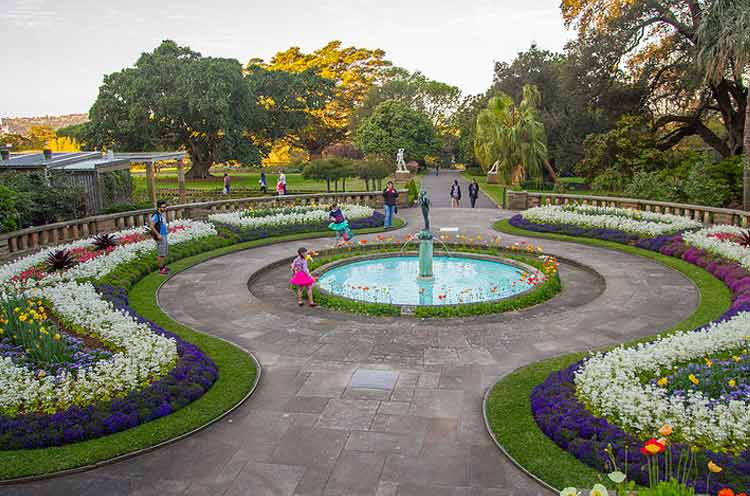 The Royal Botanical Garden