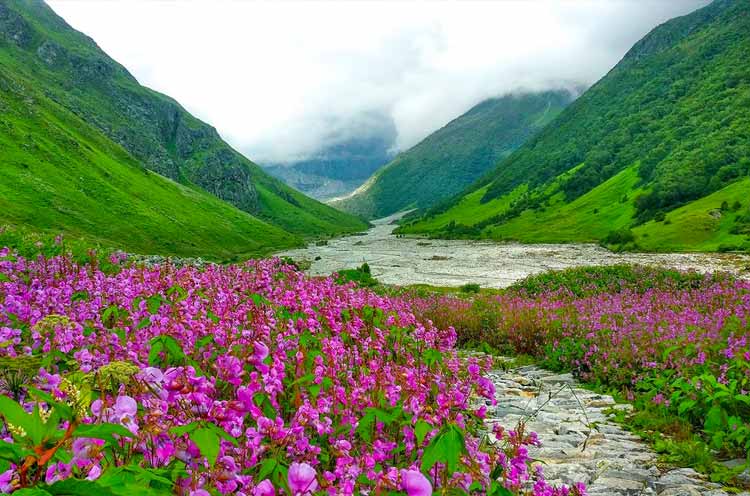 Valley of Flower