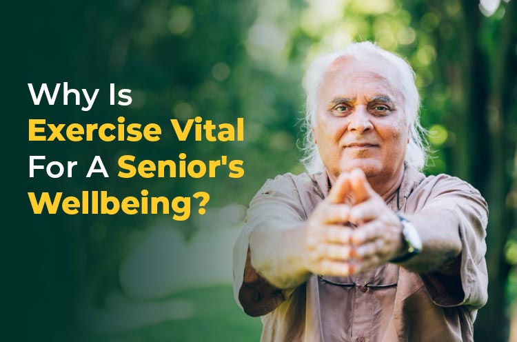 Why is excercise vital for a seniors's wellbeing