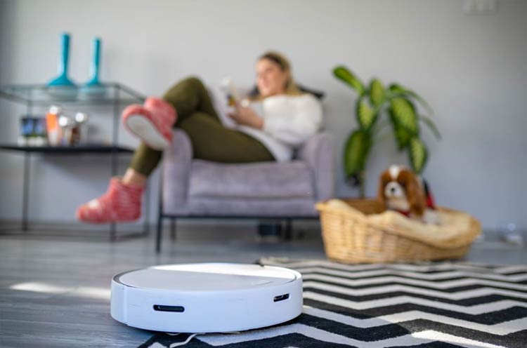 Pet robots