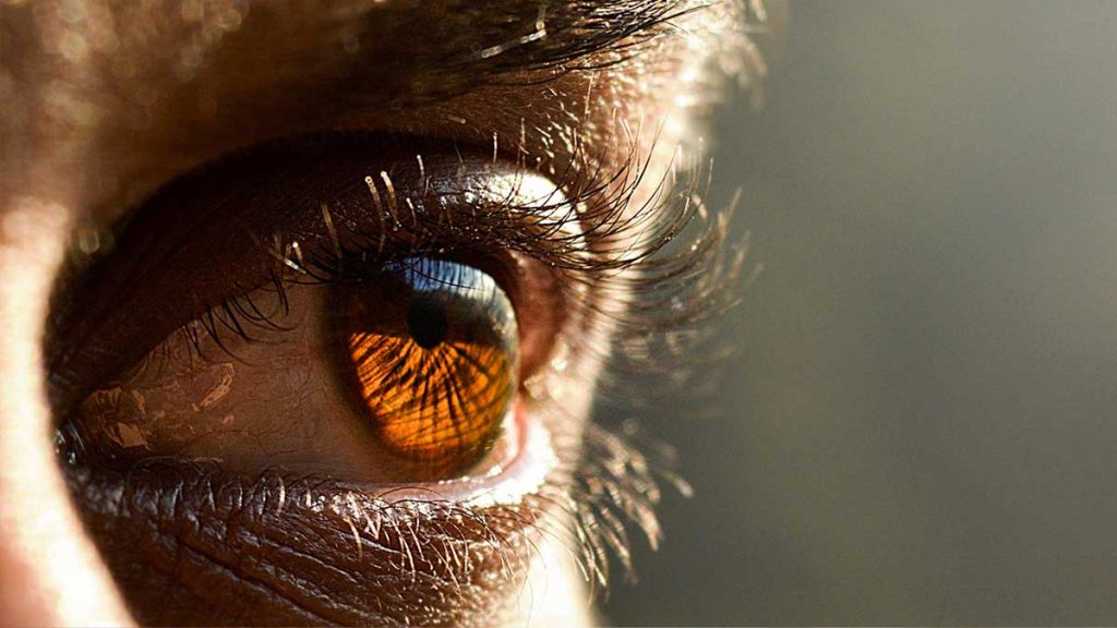 Consider visualisation activities