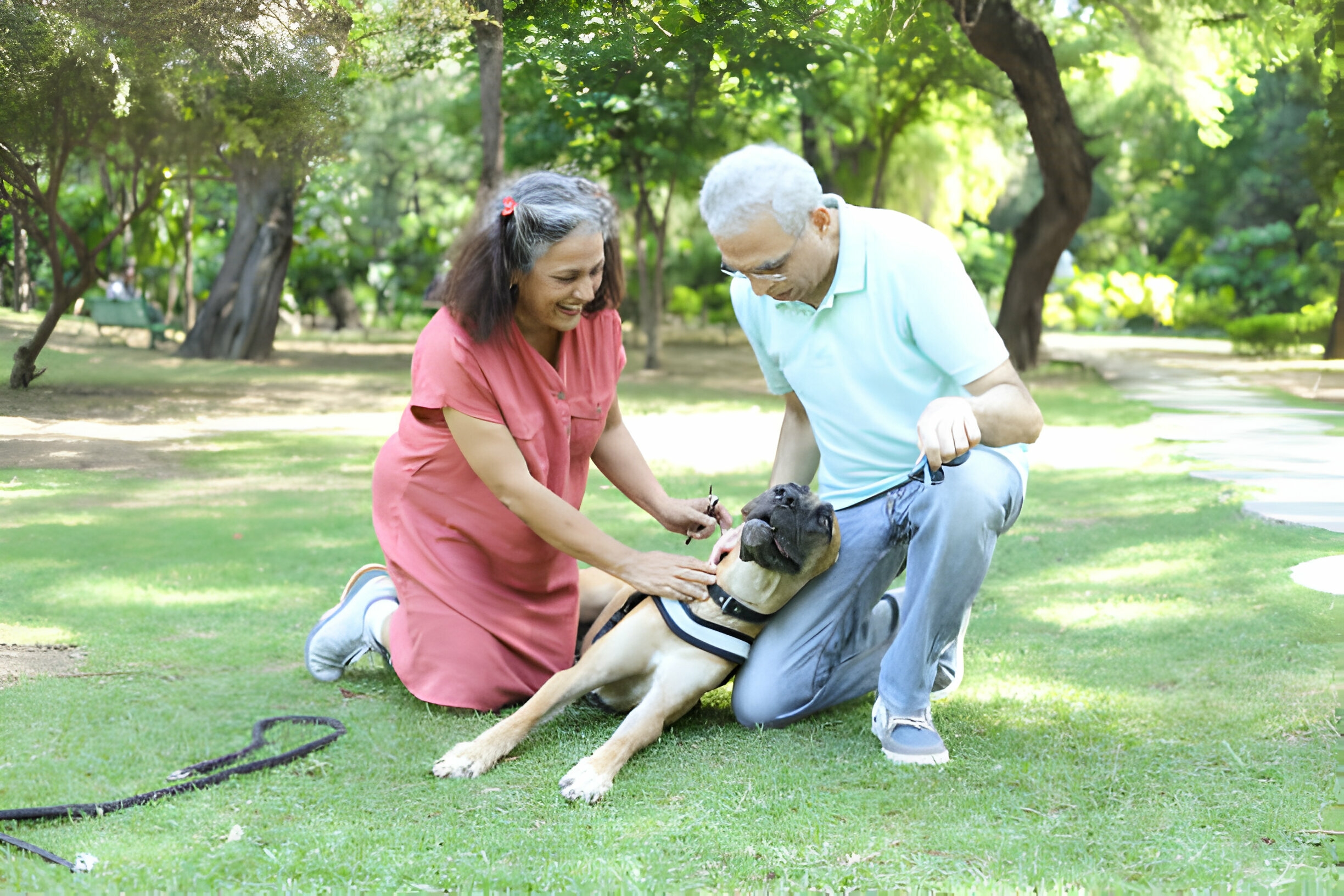 Benefits of Pet Therapy for Seniors
